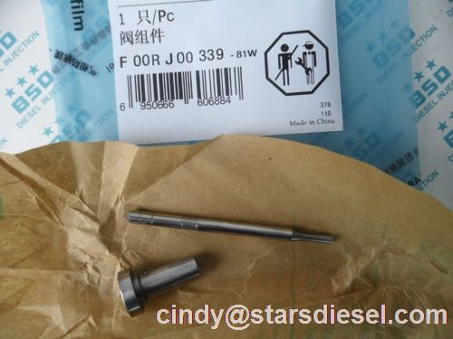 Common Rail Injector Valve F00rj00339 Made In China