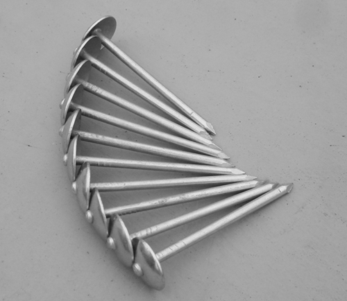 Common Roofing Nails With Umbrella Head