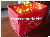 Corrugated Pp Fruit Packaging Box