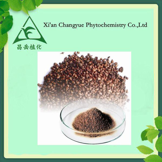 Cosmetic Products From Grape Seed Extract Capsule Vitis Vinifera L Opc