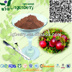 Cranberry Extract Fruit Powder