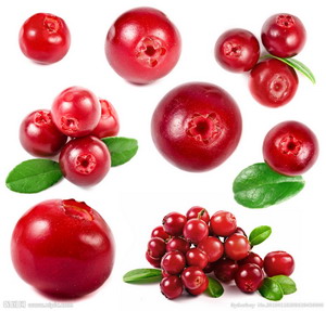 Cranberry Extract Opc 95