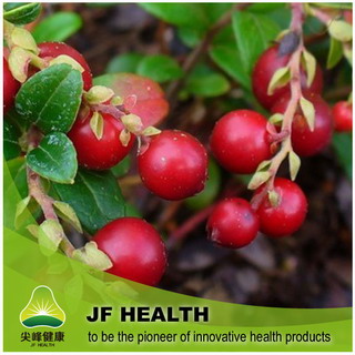 Cranberry Extract Opc95