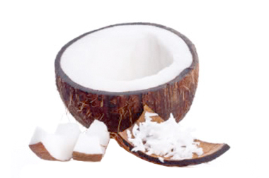 Dasiccated Coconut Vietnam S Origin