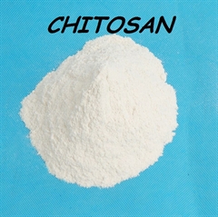 Dried Chitin Chitosan