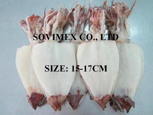 Dried Squid With Competitive Price