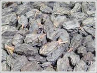Drukh Raisins Being Among The Trusted Suppliers And Exporters Of India We Offer A Wide Range High Qu