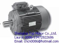 Ecol Motors Top Ie1 Ie2 Ie3 Cast Iron Motor
