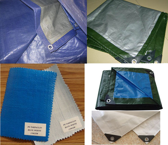 Economical Laminated Tarpaulin Sheet For Cover With Good Price