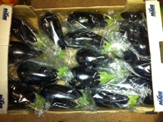 Eggplant With High Quality