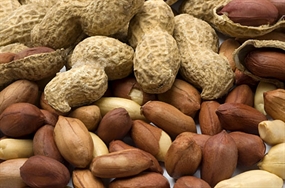 Egypt High Quality Peanuts In Shell