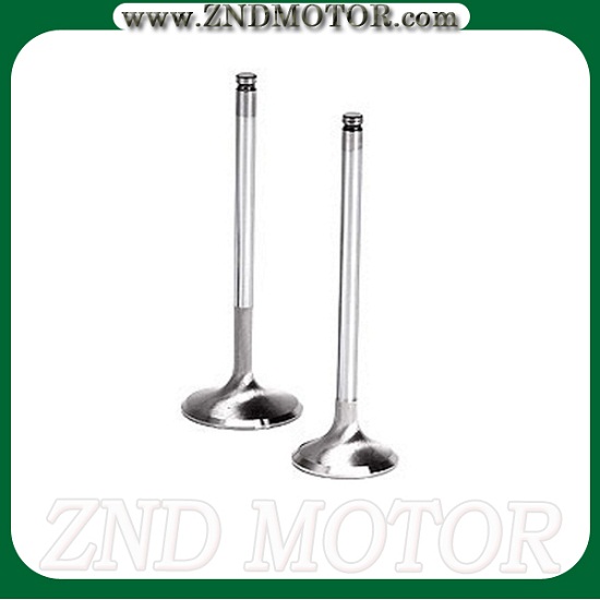 Engine Valve With High Quality And Reasonable Price