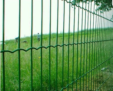 Euro Fence For Sale With High Quality
