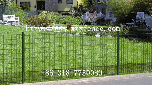 Euro Netting Fence Sheep
