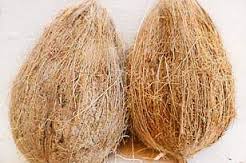 Export Quality Brown Semi Husked Coconuts
