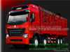 For Sale Sinotruk Swz Cargo Truck 8x4