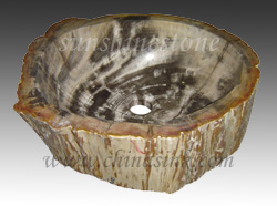 Fossil Wood Sink