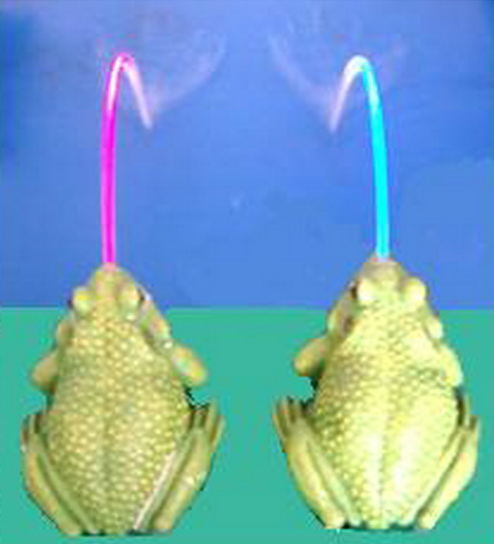 Frog Spitter Water Spray With Led Color Light