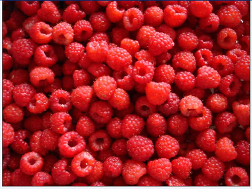 Frozen Raspberries Whole