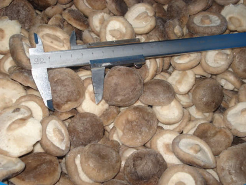 Frozen Shiitake Mushroom Whole