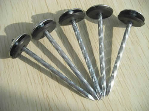 Galvanized Steel Roofing Nails And Clout