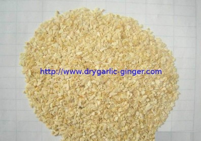 Garlic Granules 8 16mesh