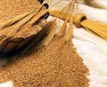 Grains Wheat Grade A
