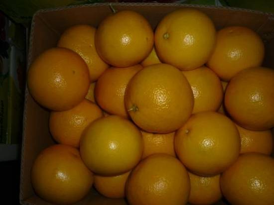 Grape Fruit With High Quality
