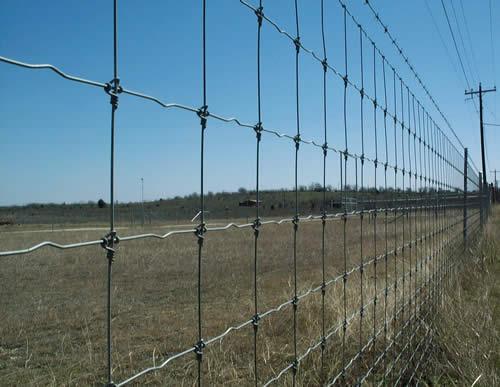 Grassland Fence Galvanized