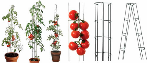 Heavy Duty Tomato Stakes From Galvanized Or Pvc Steel Tube