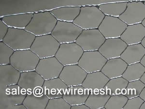 Hexagonal Wire Mesh For Chicken Or Gabion