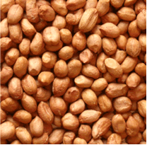 High Oleic 60 70 Raw Peanuts Special Offer