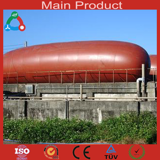 High Quality Big Size Biogas Plant