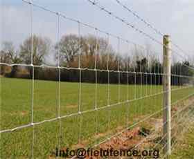 High Quality Horse Fence