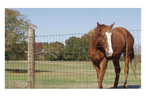 High Quality Protection Cattle Fence Field