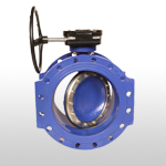 Hiwa Double Eccentric Butterfly Valve