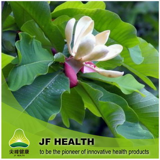 Honokiol Magnolia Bark Extract