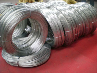 Hot Dipped Galvanized Wire Exporter Mesh From China France