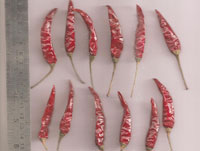 Indapur With Stem Our Wide Range Of Dried Red Chili Product Is Available In Various Varieties Grades