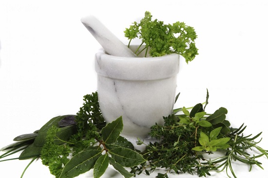 Indian Herbs For Overseas Market