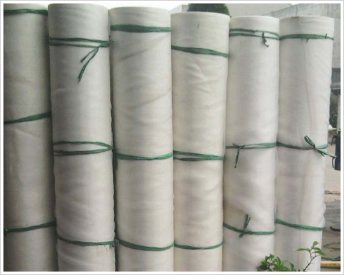 Insect Screen Wire Netting Iron Exporter