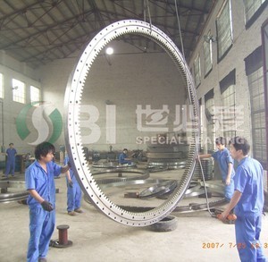 Large Size Slewing Ring Bearng