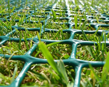 Lawn Protection Mesh Easy Installation And Cost Effective