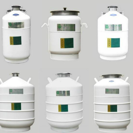 Liquid Nitrogen Container For Sale
