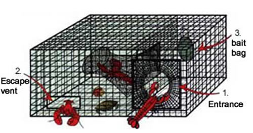 Lobster Traps Including Small