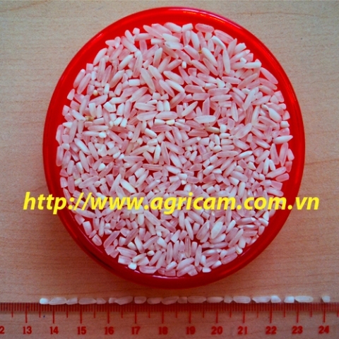 Long White Rice 10pct Broken