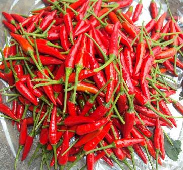 Low Price Chilli Products