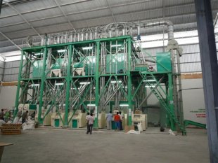Maize Mill And Flour Processing Machine