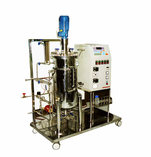 Mechanical Stirring Stainless Steel Bioreactor 65292 Automatic Borosilicate Glass