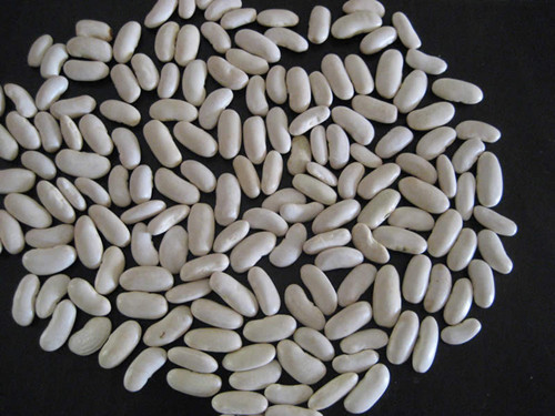 Middle White Kidney Beans